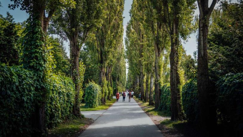 Assistens Cemetery | Simon Bang